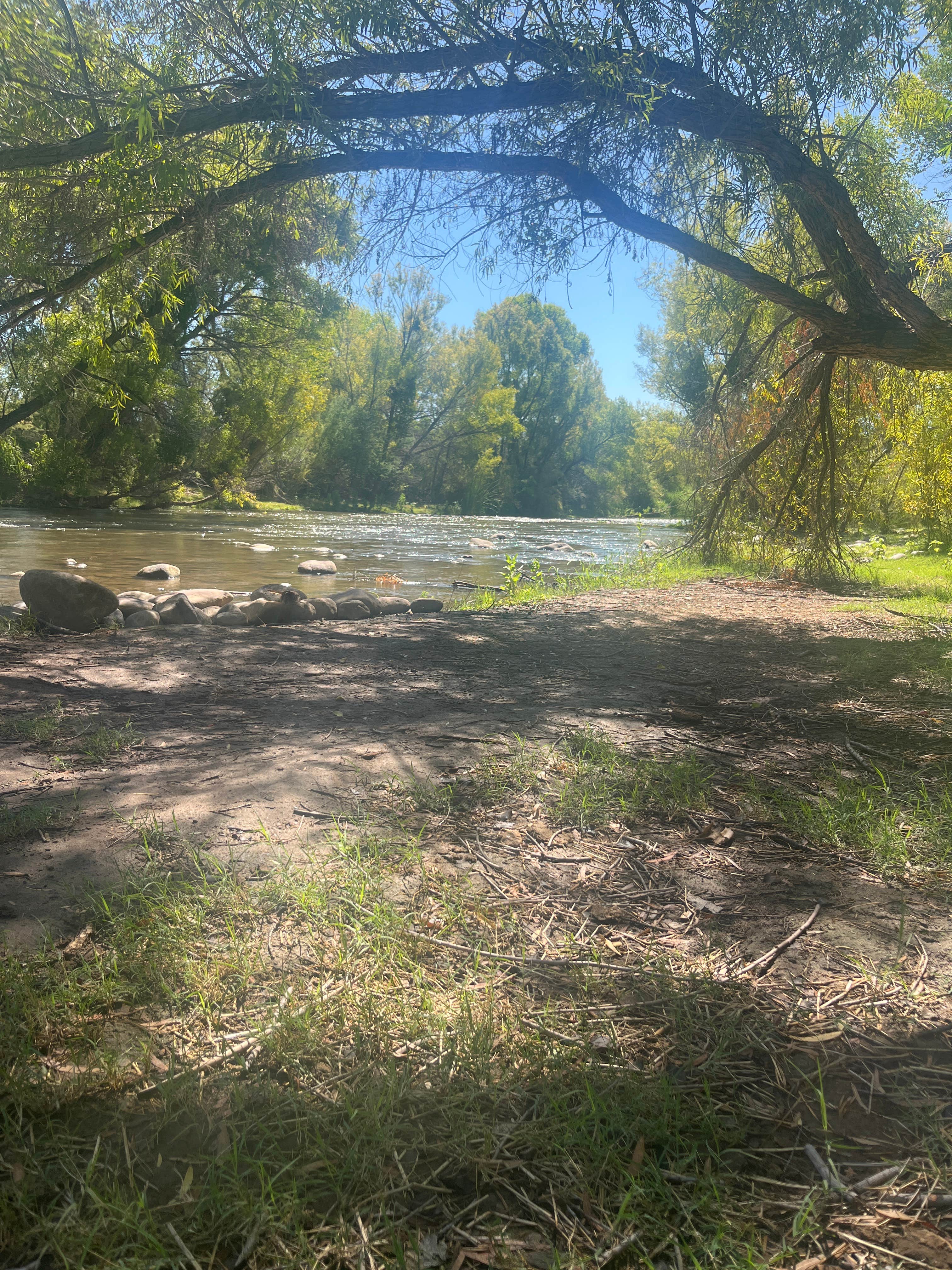 Camping near Bartlett Reservoir: Box Bar Shoreline Area and River Access Point, Rio Verde, Arizona