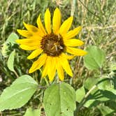 Review photo of Box Butte Reservoir State Recreation Area by Janet K., August 17, 2024