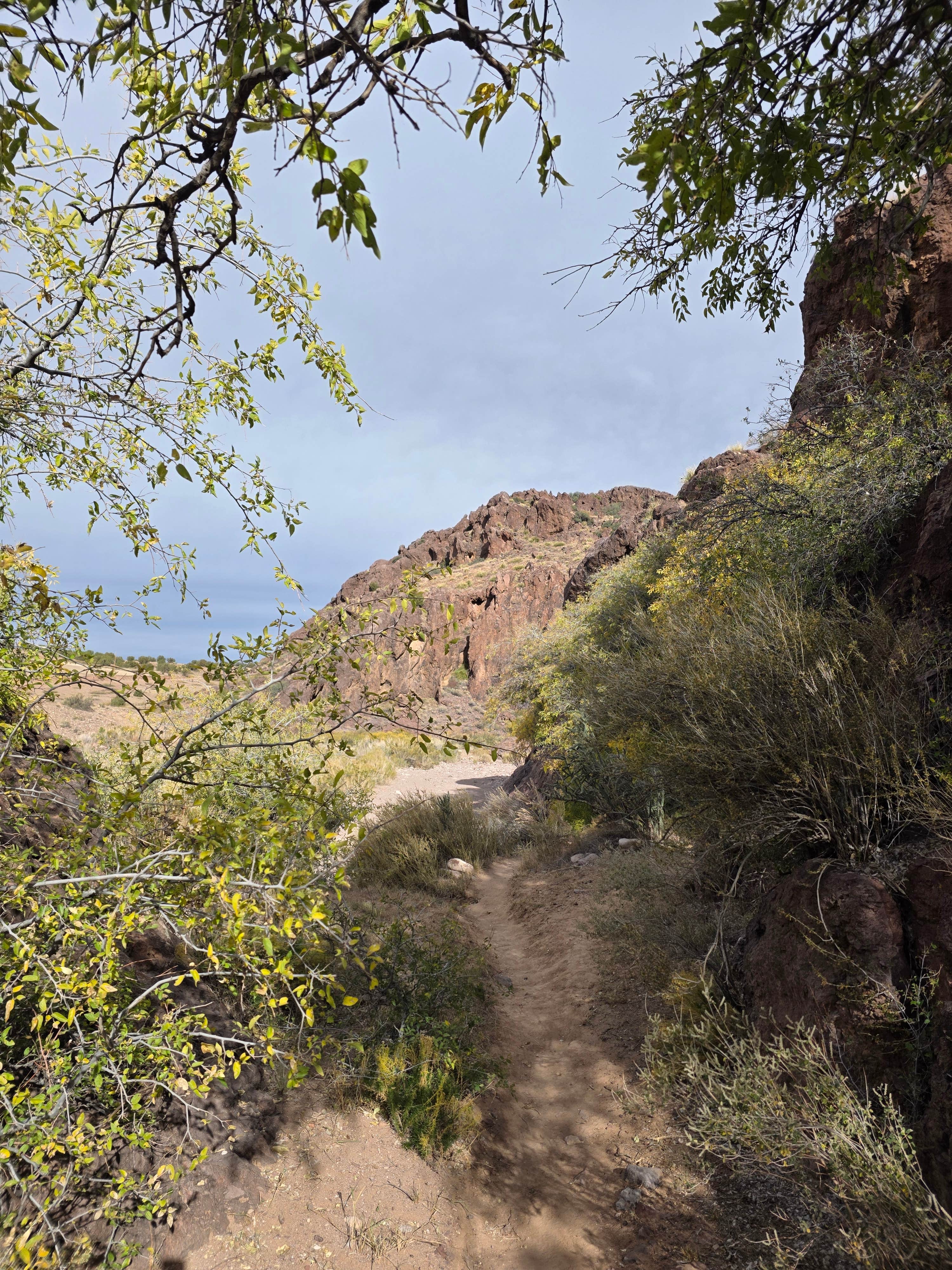 Camper-submitted photo at Box Canyon, NM near San Acacia, NM