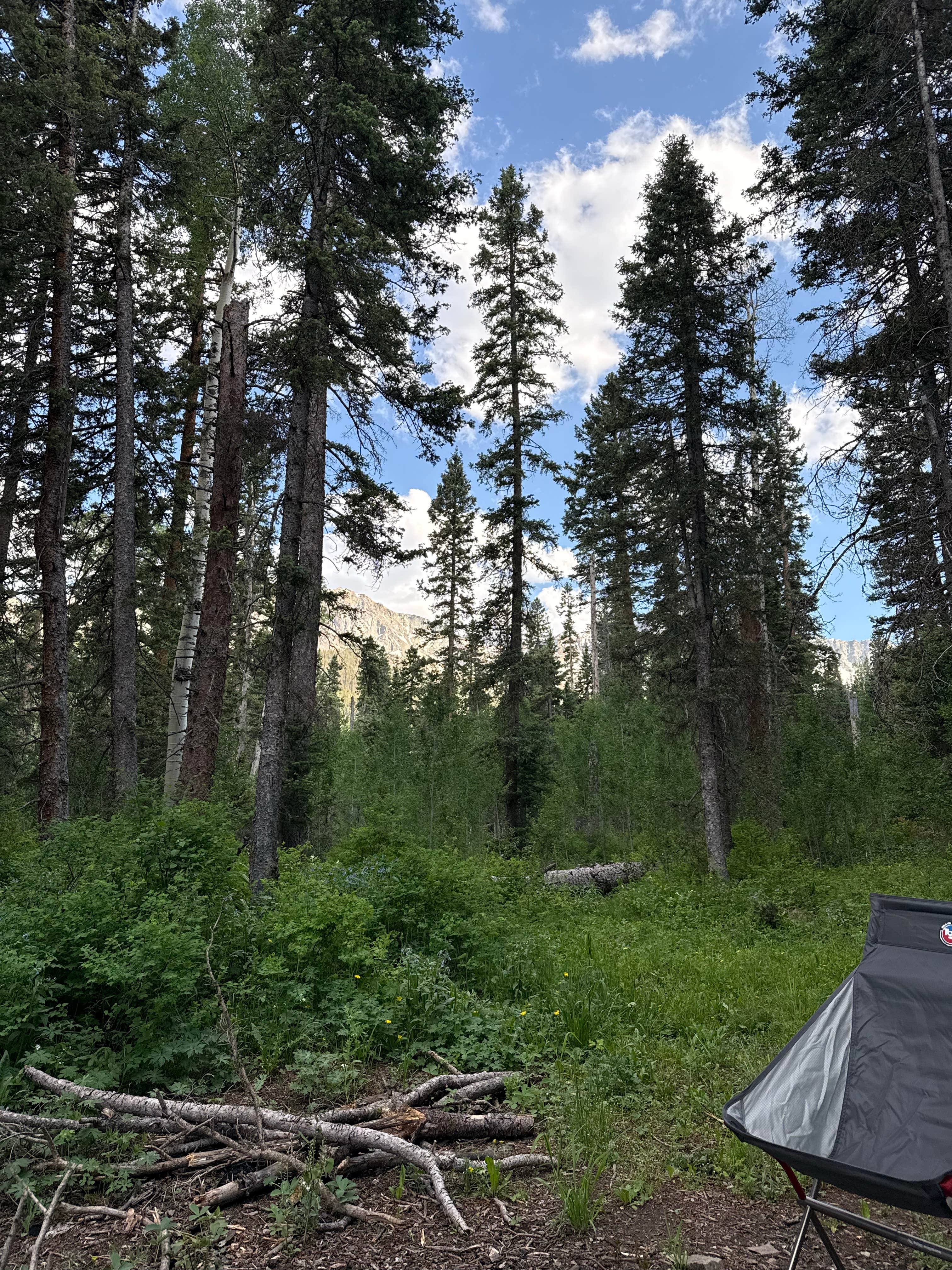 Dan B.'s photo of a dispersed camping area at Box Factory Park near Ouray, CO