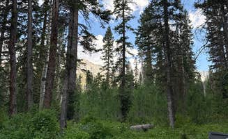 Dan B.'s photo of a dispersed camping area at Box Factory Park near Ridgway, CO