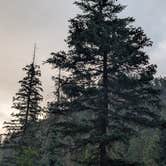 Review photo of Boxelder Forks Campground — Black Hills National Forest by Andre I., July 25, 2026