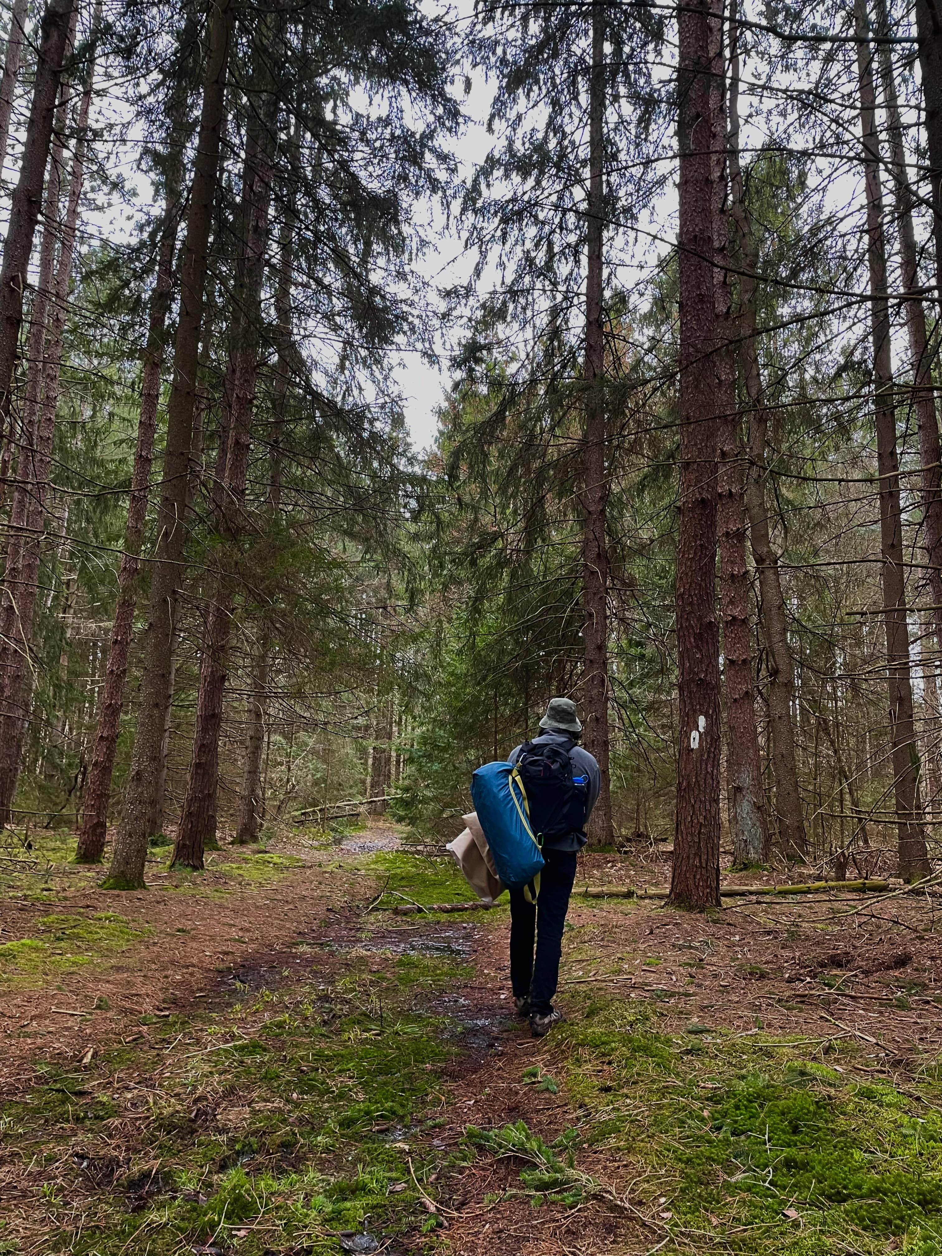 Camper-submitted photo at Boyce State Forest near Nunda, NY