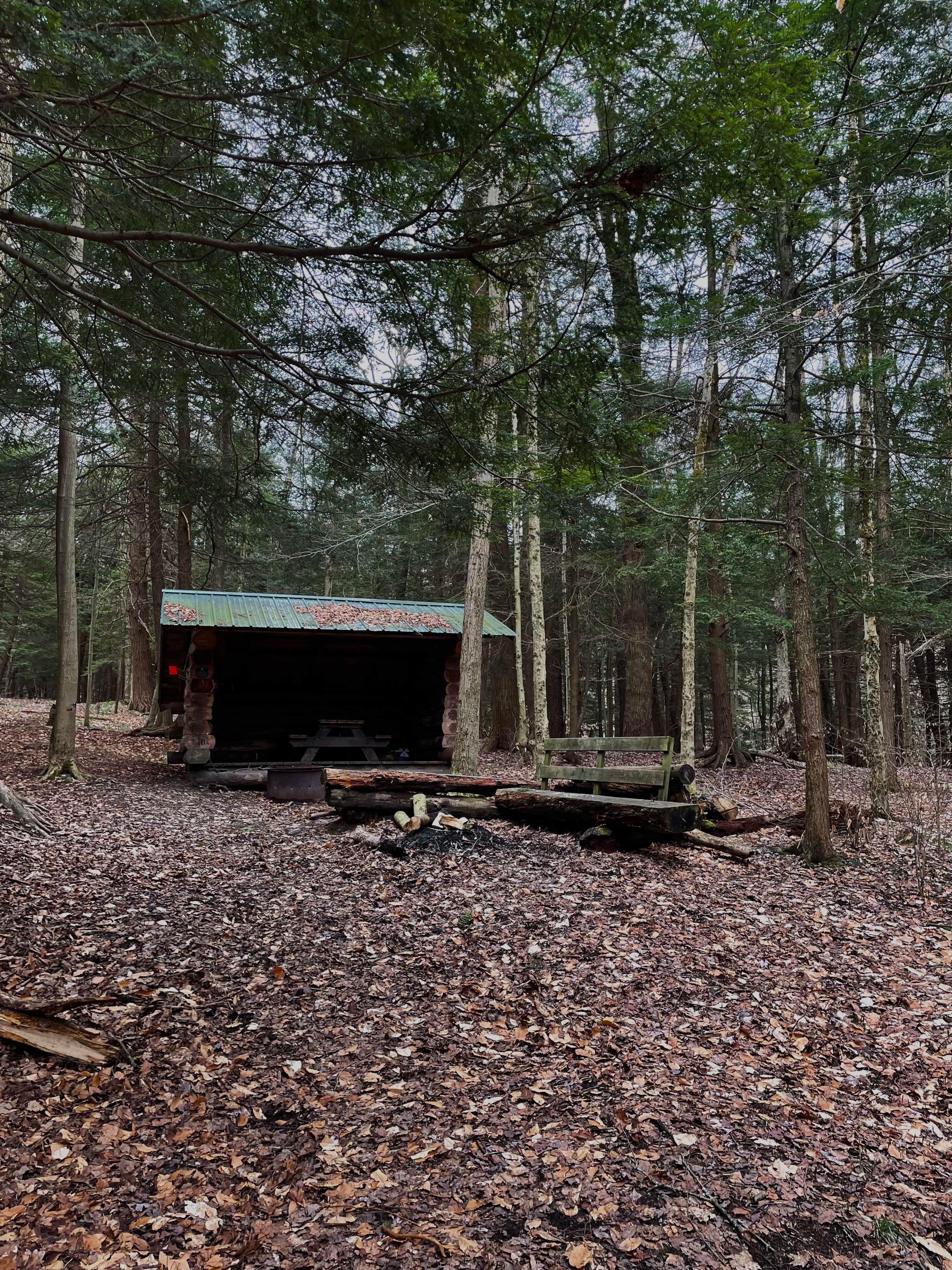 Camper-submitted photo at Boyce State Forest near Nunda, NY