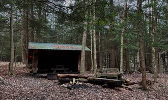Camping near Harwood Haven: Boyce State Forest, Franklinville, New York