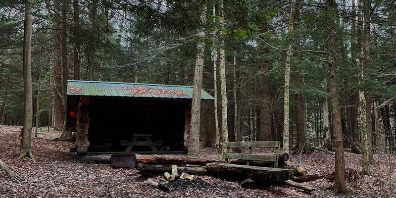 Camper submitted image from Boyce State Forest