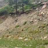 Review photo of Cottonwood Campground — Boyd Lake State Park by Chris A., June 8, 2026