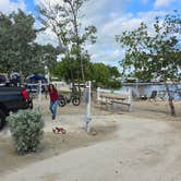 Review photo of Boyd's Key West Campground by Mike D., November 22, 2024