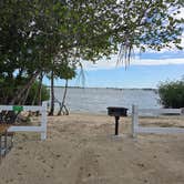 Review photo of Boyd's Key West Campground by Mike D., November 22, 2024