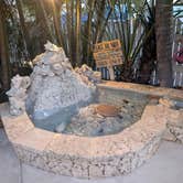 Review photo of Boyd's Key West Campground by Roger G., May 25, 2026