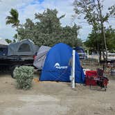 Review photo of Boyd's Key West Campground by Mike D., November 22, 2024