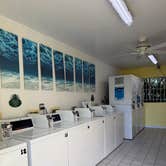 Review photo of Boyd's Key West Campground by Spicy  N., December 5, 2025