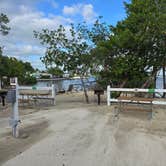 Review photo of Boyd's Key West Campground by Mike D., November 22, 2024