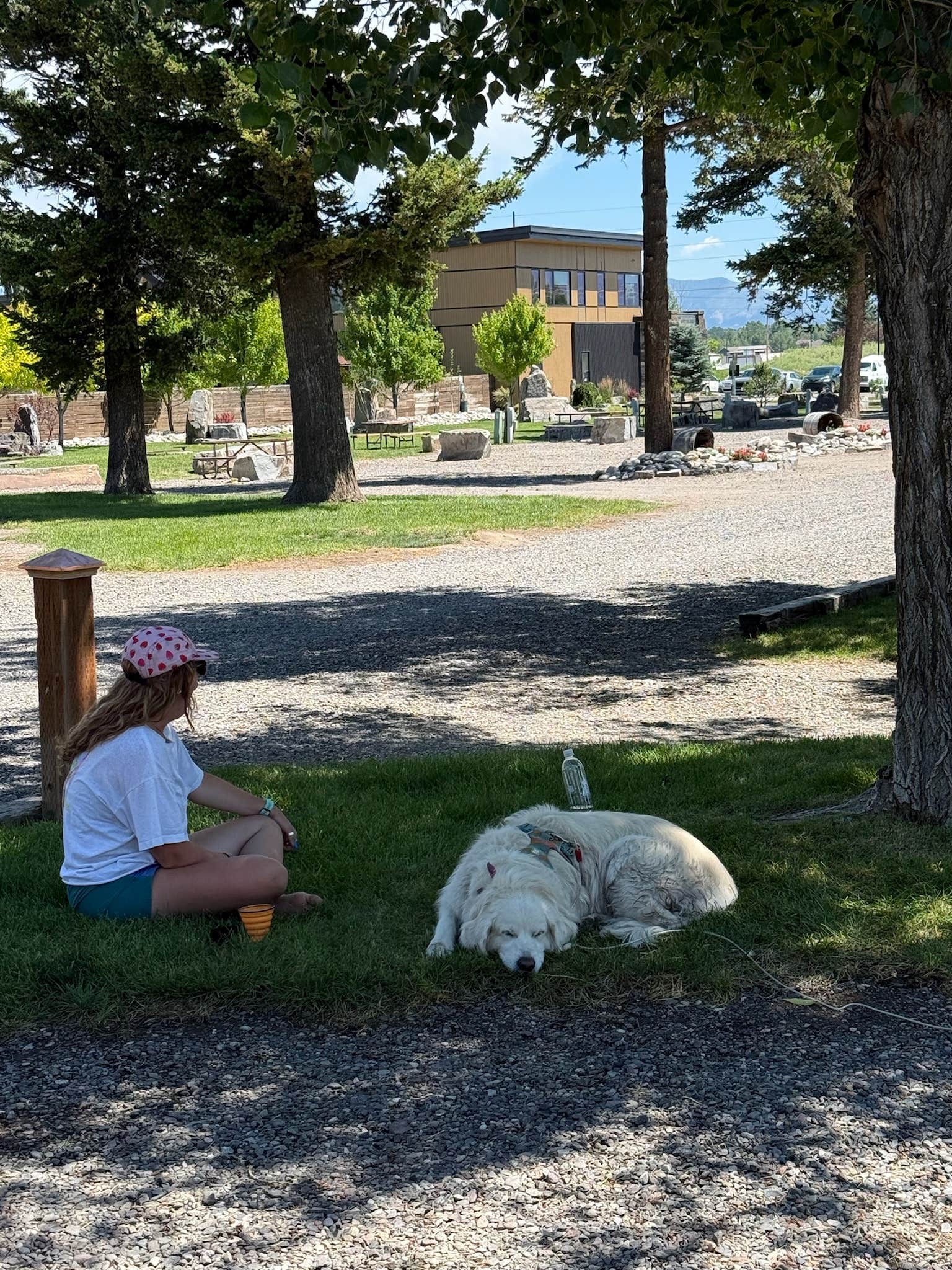 Matt F.'s photo of camping with pets at Bozeman Hot Springs Campground & RV near Gallatin National Forest