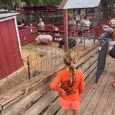 Review photo of Bradenton / Hunsader Farms KOA by d I., October 20, 2026