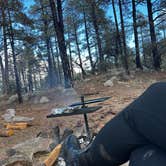 Review photo of Bradshaw City Senator Rd Dispersed by Stephanie , January 3, 2026