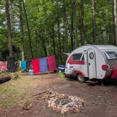 Review photo of Braley Pond dispersed camping area by Barnhardt , August 9, 2026