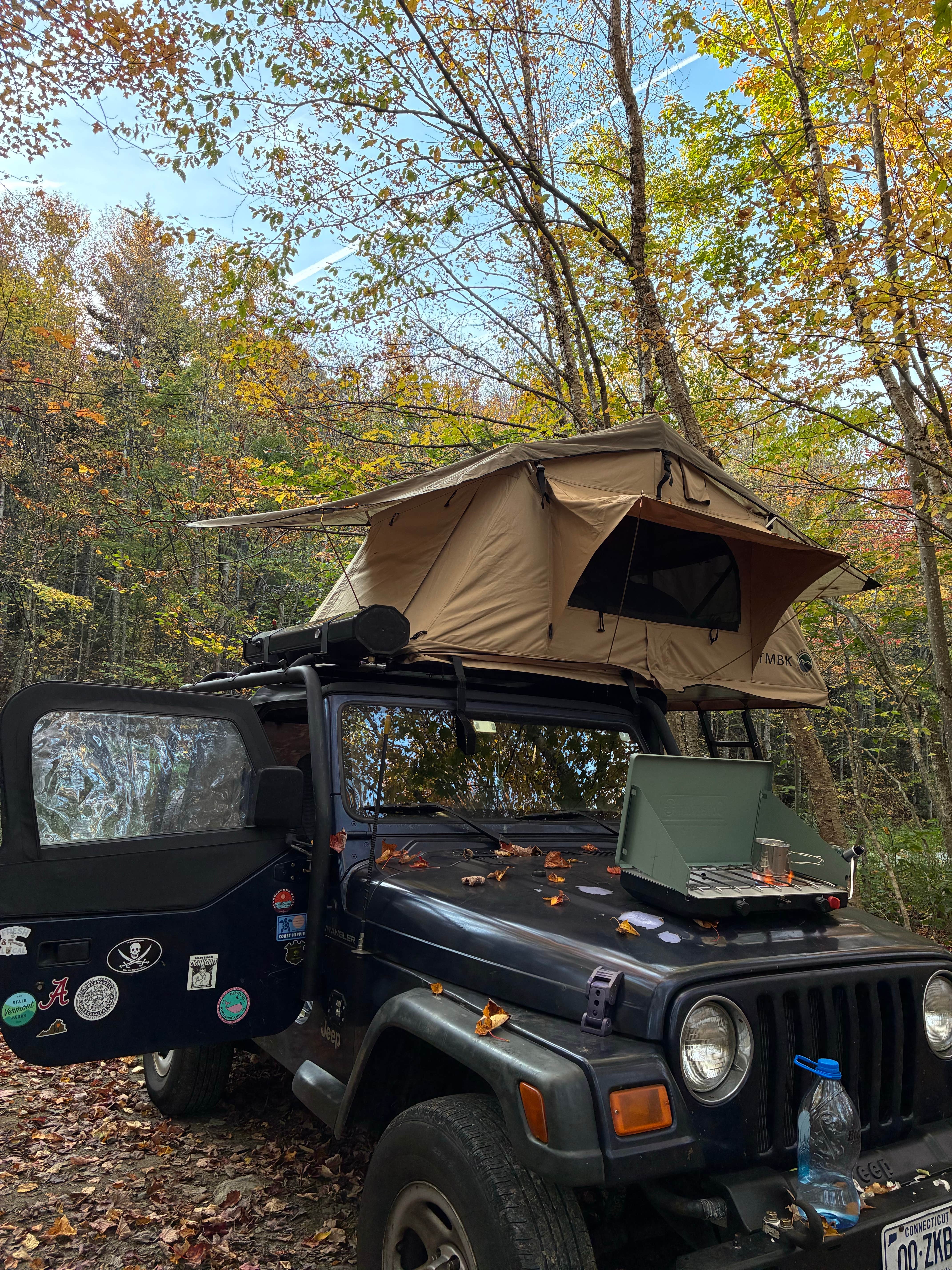 Camper submitted image from Branch Pond on National Forest Hwy - 1