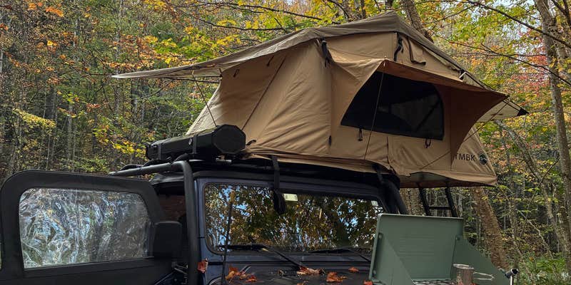 Camper submitted image from Branch Pond on National Forest Hwy