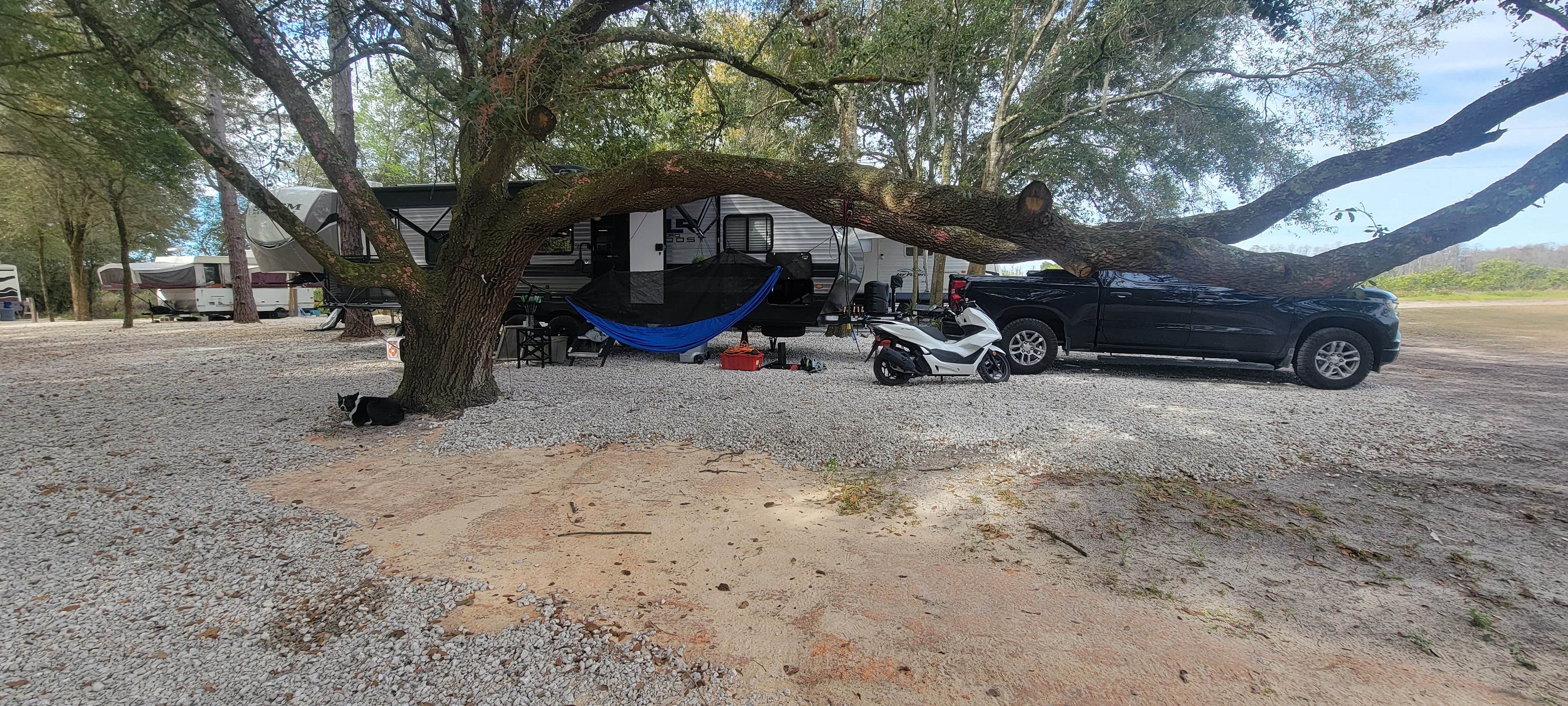 ron R.'s photo of camping with pets at Hideout at The Green Swamp! near Bushnell, FL