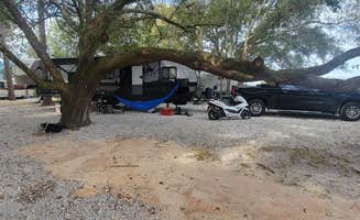 ron R.'s photo of camping with pets at Hideout at The Green Swamp! near Webster, FL