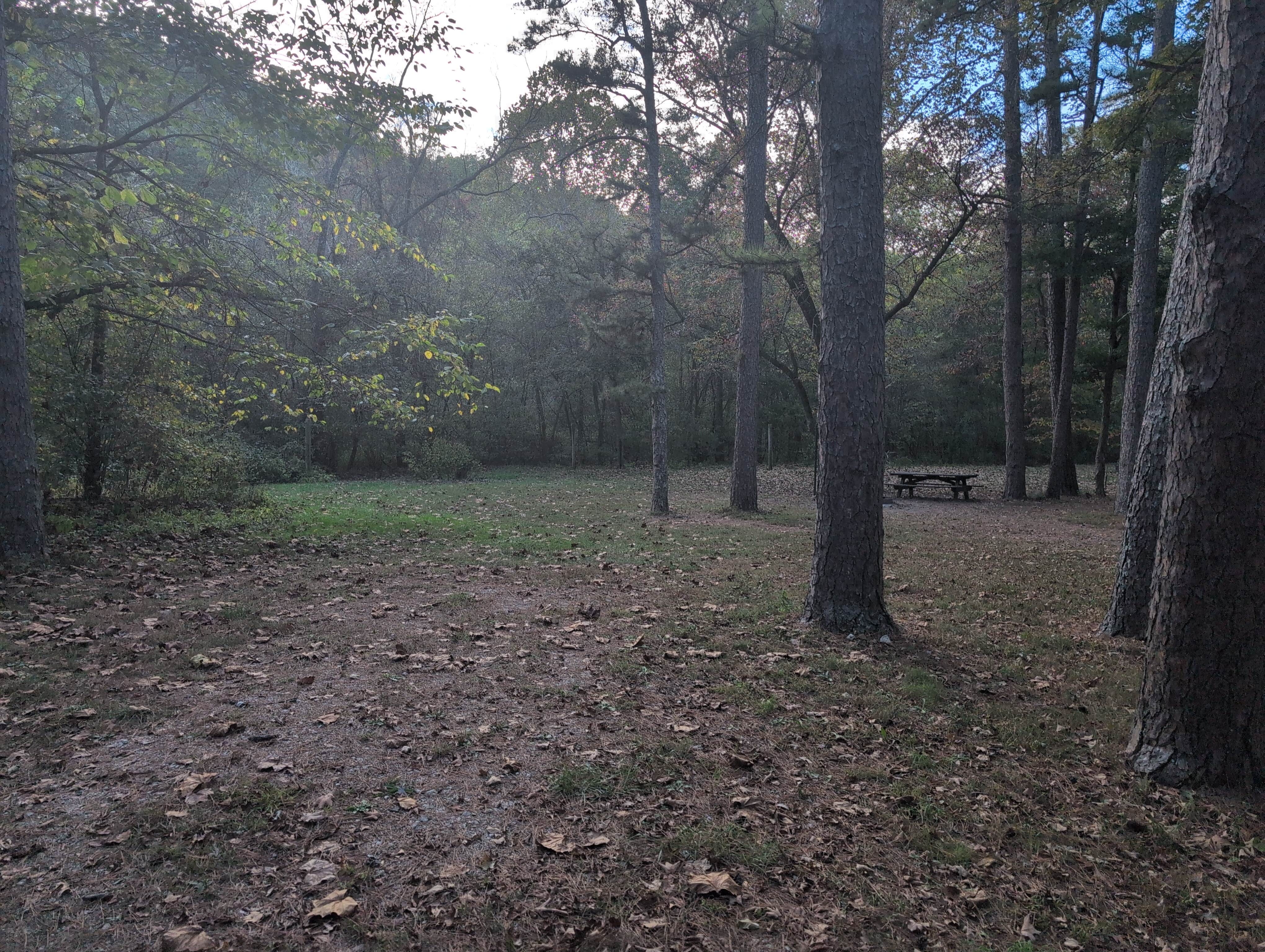 Camper-submitted photo at Brazil Creek Camping Area near Marthasville, MO