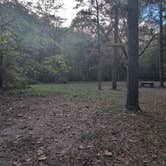 Review photo of Brazil Creek Camping Area by Rick M., October 13, 2025