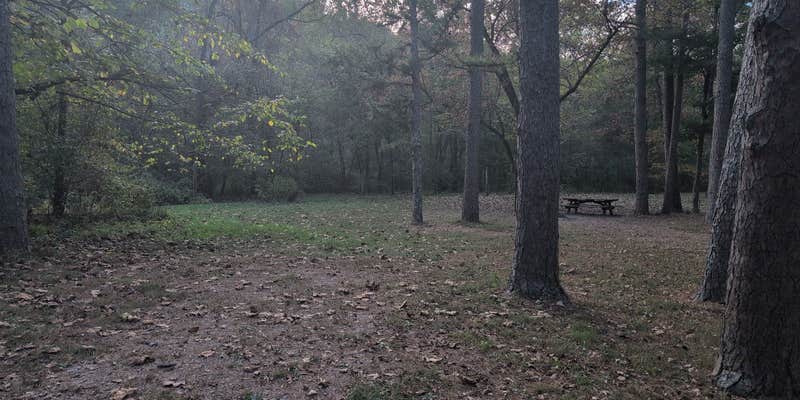 Camper submitted image from Brazil Creek Camping Area