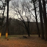 Review photo of Brazil Creek Camping Area by alexis M., December 6, 2023