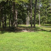 Review photo of Brazil Creek Camping Area by Lynn , August 23, 2026