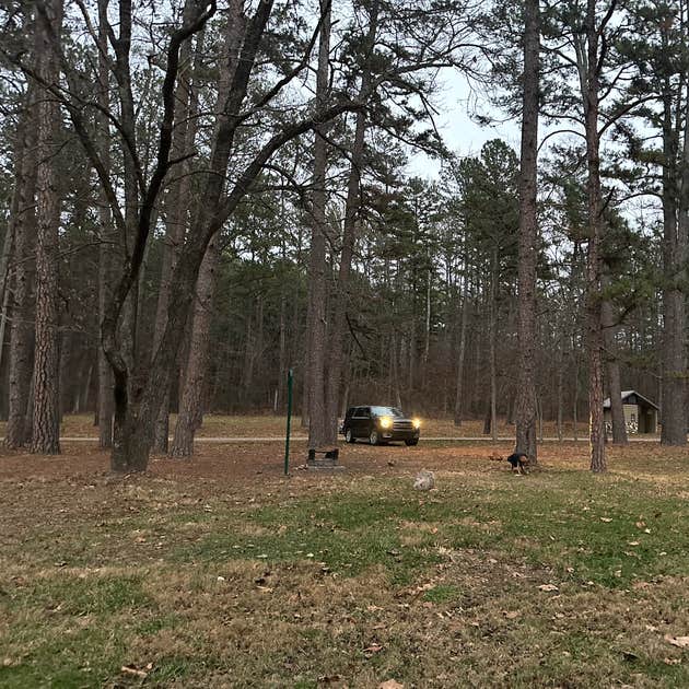 Brazil Creek Camping Area Potosi, MO