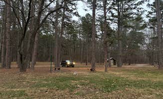 alexis M.'s photo of camping with pets at Brazil Creek Camping Area near Wappapello Lake