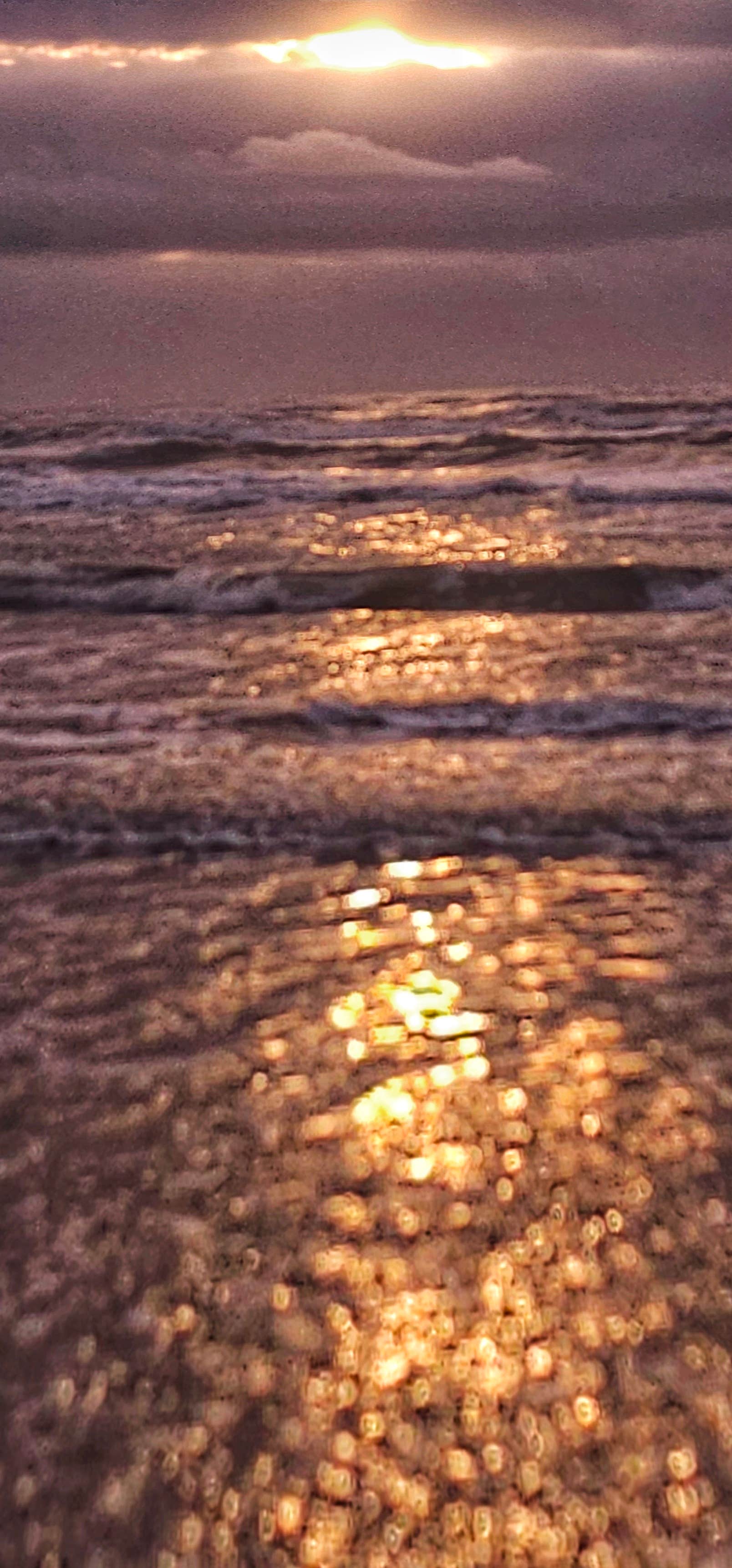 Camper-submitted photo at Brazoria Beach Camp from Seagull Ave near Friendswood, TX