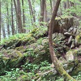 Review photo of Breaks Interstate Park Campground by paul C., May 13, 2025