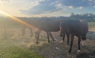 Katie C.'s photo of camping with a horse at Bent River Equestrian near Greenville, SC