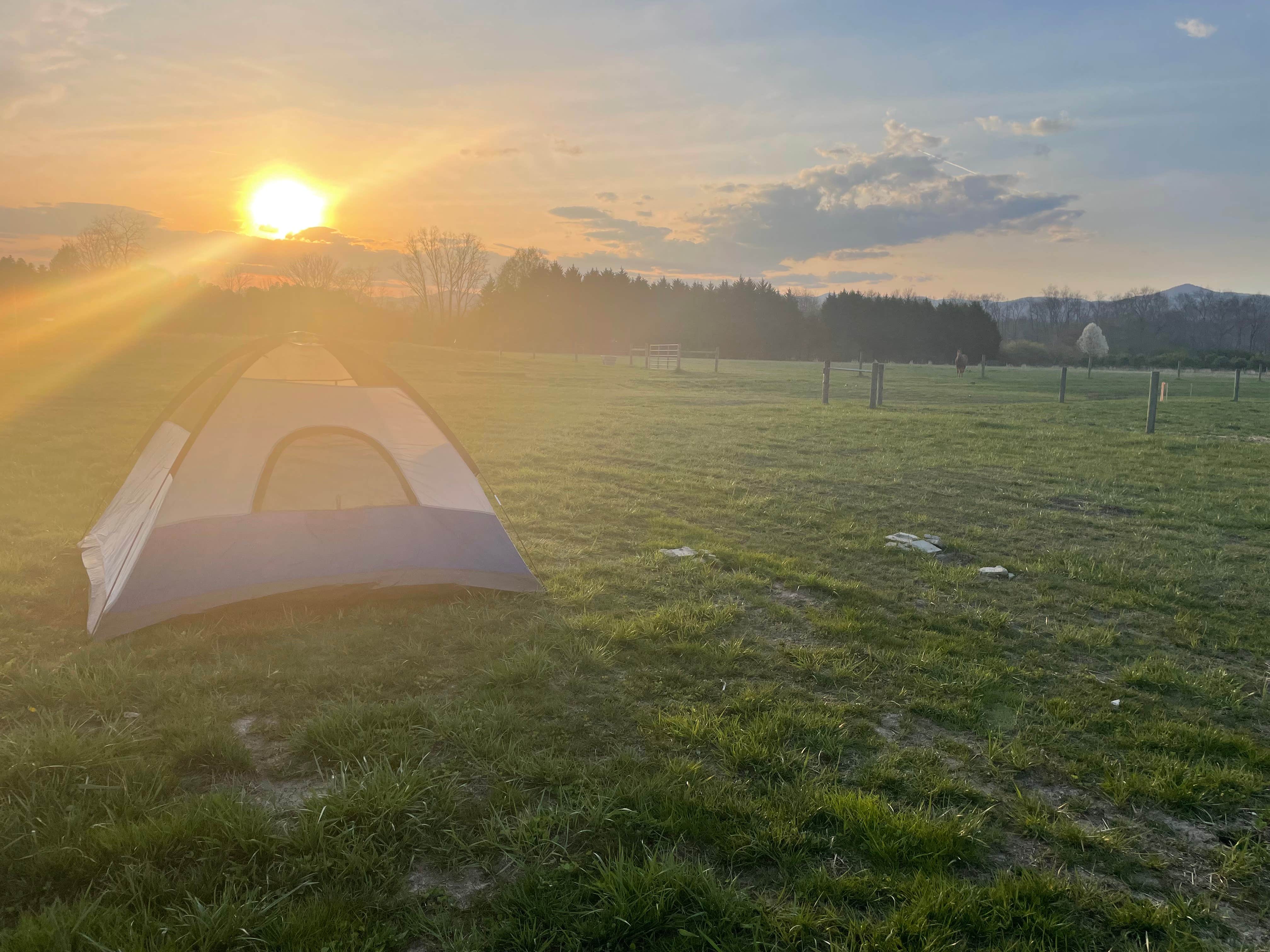 Katie C.'s photo at Bent River Equestrian near Flat Rock, NC