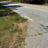 Review photo of Brick House Campground (Sc) — Francis Marion And Sumter National Forests by Lisa M., September 16, 2025