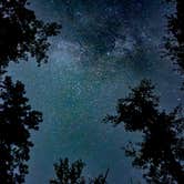 Review photo of Brick House Campground (Sc) — Francis Marion And Sumter National Forests by Mark G., July 4, 2026