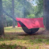 Review photo of Brick House Campground (Sc) — Francis Marion And Sumter National Forests by Mark G., July 4, 2026