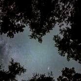Review photo of Brick House Campground (Sc) — Francis Marion And Sumter National Forests by Mark G., July 4, 2026