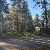 Review photo of Bridalveil Creek Campground — Yosemite National Park by Sabrina V., July 11, 2026