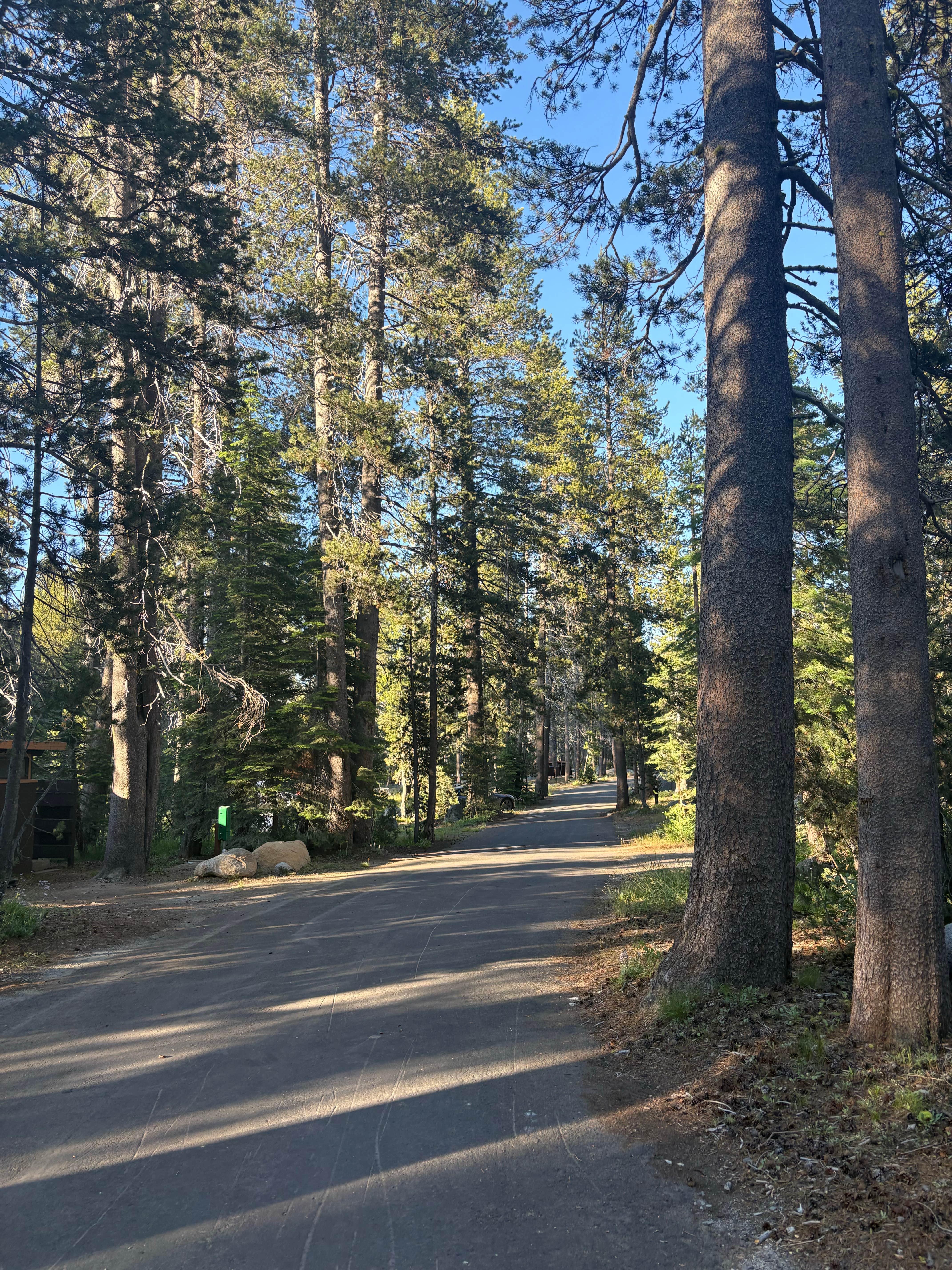 Roads