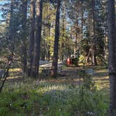 Review photo of Bridalveil Creek Campground — Yosemite National Park by Sabrina V., July 11, 2026