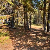 Review photo of Bridge Bay Campground — Yellowstone National Park by Lisa M., August 23, 2025