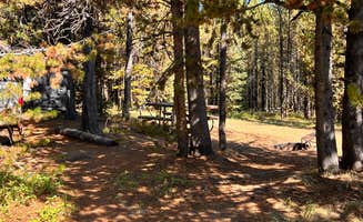 Lisa M.'s photo of camping with pets at Bridge Bay Campground — Yellowstone National Park near Yellowstone National Park