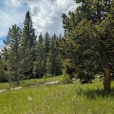 Review photo of Bridge Bay Campground — Yellowstone National Park by David G., July 4, 2026