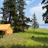 Review photo of Bridge Bay Campground — Yellowstone National Park by Lorene N., September 4, 2024