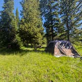 Review photo of Bridge Bay Campground — Yellowstone National Park by David G., July 4, 2026