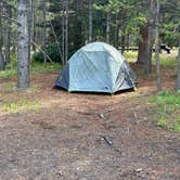 Review photo of Bridge Bay Campground — Yellowstone National Park by Candice M., October 25, 2023