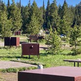 Review photo of Bridge Bay Campground — Yellowstone National Park by Michael S., June 20, 2025